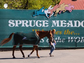 Horses and grooms walk to a veterinary check at Spruce Meadows ahead of the Masters show-jumping competition on Tuesday, Sept. 6, 2022. The Masters runs Sept. 7-11.