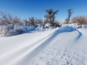 Drifted snow covers a road near Carseland, Ab., on Tuesday, November 8, 2022.