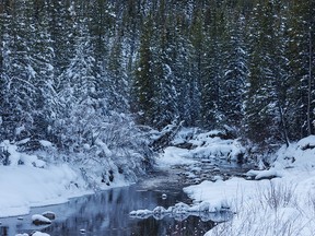 The Highwood River below Highwood Pass west of Longview, Ab., on Tuesday, November 15, 2022.