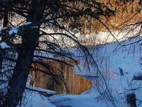 Willows reflected in the still waters of a creek along the Highwood River below Highwood Pass west of Longview, Ab., on Tuesday, November 15, 2022.