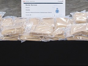 Law enforcement and border officials say 43 kilograms of cocaine was hidden in a shipment of bananas crossing into Canada at Coutts, Alta. A Calgary truck driver faces criminal charges.