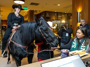 Tuffy Nuff, the Calgary Grey Cup committee horse, arrives at the DoubleTree by Hilton to check in on Thursday, November 17, 2022 in Regina.