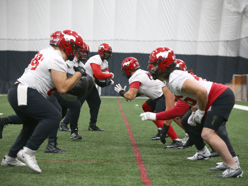 Eleven Stampeders — finally — named to CFL West AllStar Team Sudbury Star