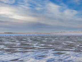 Wispy clouds and a dry slough east of Rockyford, Ab., on Tuesday, November 29, 2022.