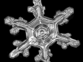 Occasionally bubbles form in the centre of snowflakes early in their genesis and then collapse leading to a perfect circle in the centre of a flake. The process in this snowflake appears to have repeated multiple times.