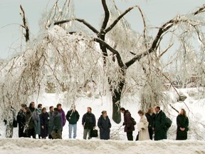 Unfazed by the drooping, ice-laden branches around them, passengers wait for a transit bus in downtown Montreal on January 9, 1998.