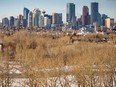 A view of Calgary downtown skyline was photographed on a mild afternoon on Wednesday, February 8, 2023.
