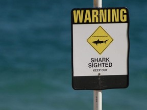 A file photo taken Jan. 17, 2015, shows a shark warning sign posted on the beach in the New South Wales city of Newcastle.