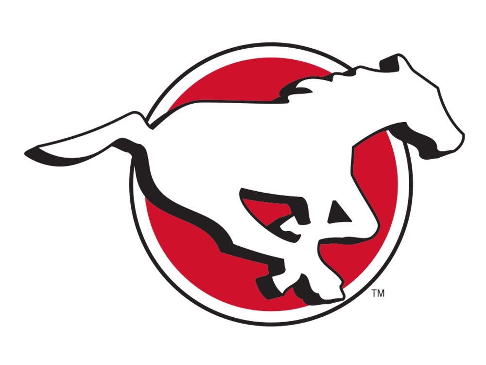 AUSTIN: Stampeders once again show no sign of being a playoff team in loss  to Tiger-Cats