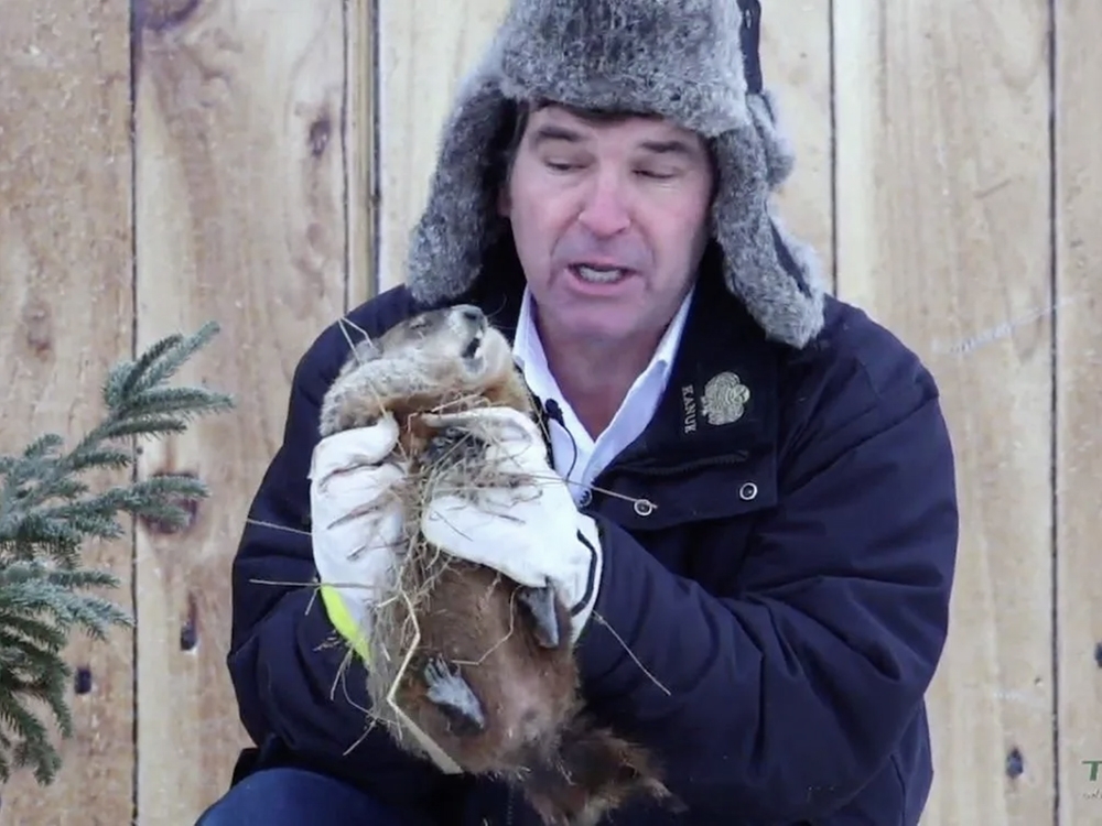 Beloved Quebec groundhog found dead hours before he was due to predict