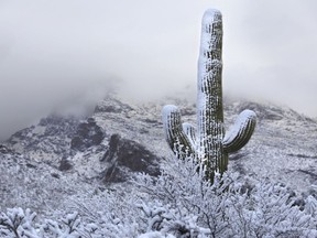 Snow coats the foothills of the Santa Catalina Mountains north of Tucson, Ariz., on March 2, 2023.