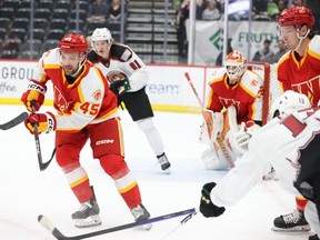 Calder Brooks, left, is trying to make a positive impression during a call-up with the American Hockey League’s Calgary Wranglers.