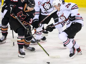Calgary Hitmen forward Chase Valliant and Red Deer Rebels forward Talon Brigley battle for the puck at Scotiabank Saddledome in Calgary on Monday, April 3, 2023.