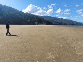 Hayden Jones-O'Neil walks along the beach at Harrison Lake. The lake is nearing historic lows with "acres and acres" of sandy beach exposed.