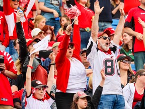 Calgary Stampeders fans cheer during a game.