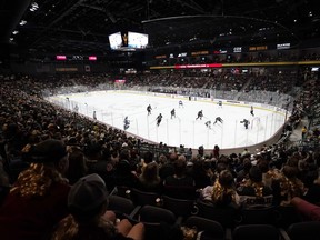 Fans watch the Arizona Coyotes and the Winnipeg Jets during a game at Mullett Arena in Tempe, Ariz., Friday, Oct. 28, 2022.
