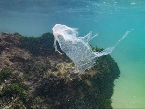 In this picture taken on Dec. 31, 2021 a plastic bag floats in the waters of the Indian Ocean near the town of Ahangama in Galle.