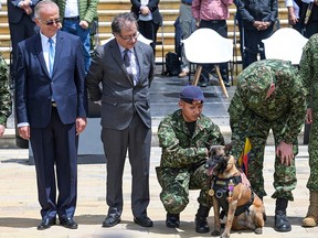 Colombian President Gustavo Petro (centre) and his Defence Minister Ivan Velasquez (second from left) look at the dog Drugia, mother of Wilson, the rescue dog who disappeared in the search for four missing indigenous children in the Colombian Amazon, at the Presidential Palace of Narino in Bogota, on June 26, 2023.