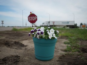 Flowers are seen on the side of the road where the Trans-Canada Highway intersects with Highway 5, west of Winnipeg near Carberry, Man., Friday, June 16, 2023. A semi and a bus carrying seniors collided at the intersection Thursday, killing 15 people.