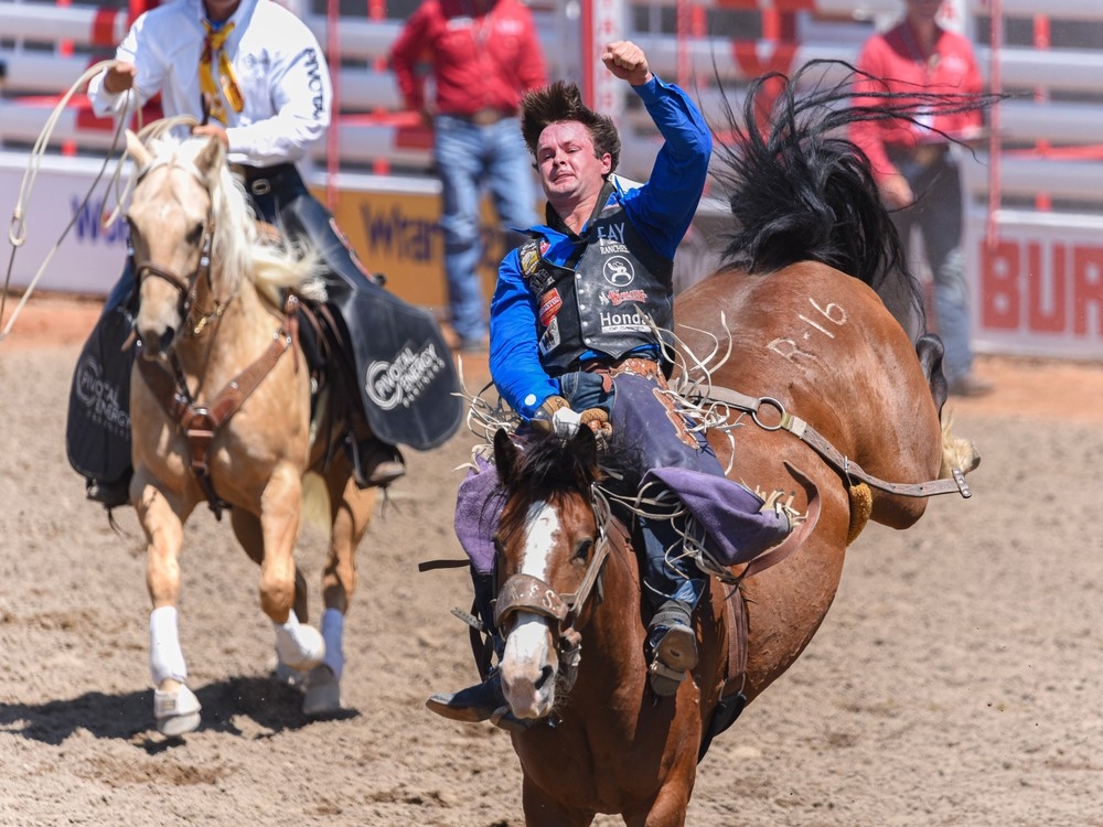 Calgary Stampede on X: Not so sure what a flank strap is, or what it does?  Now you know.  / X