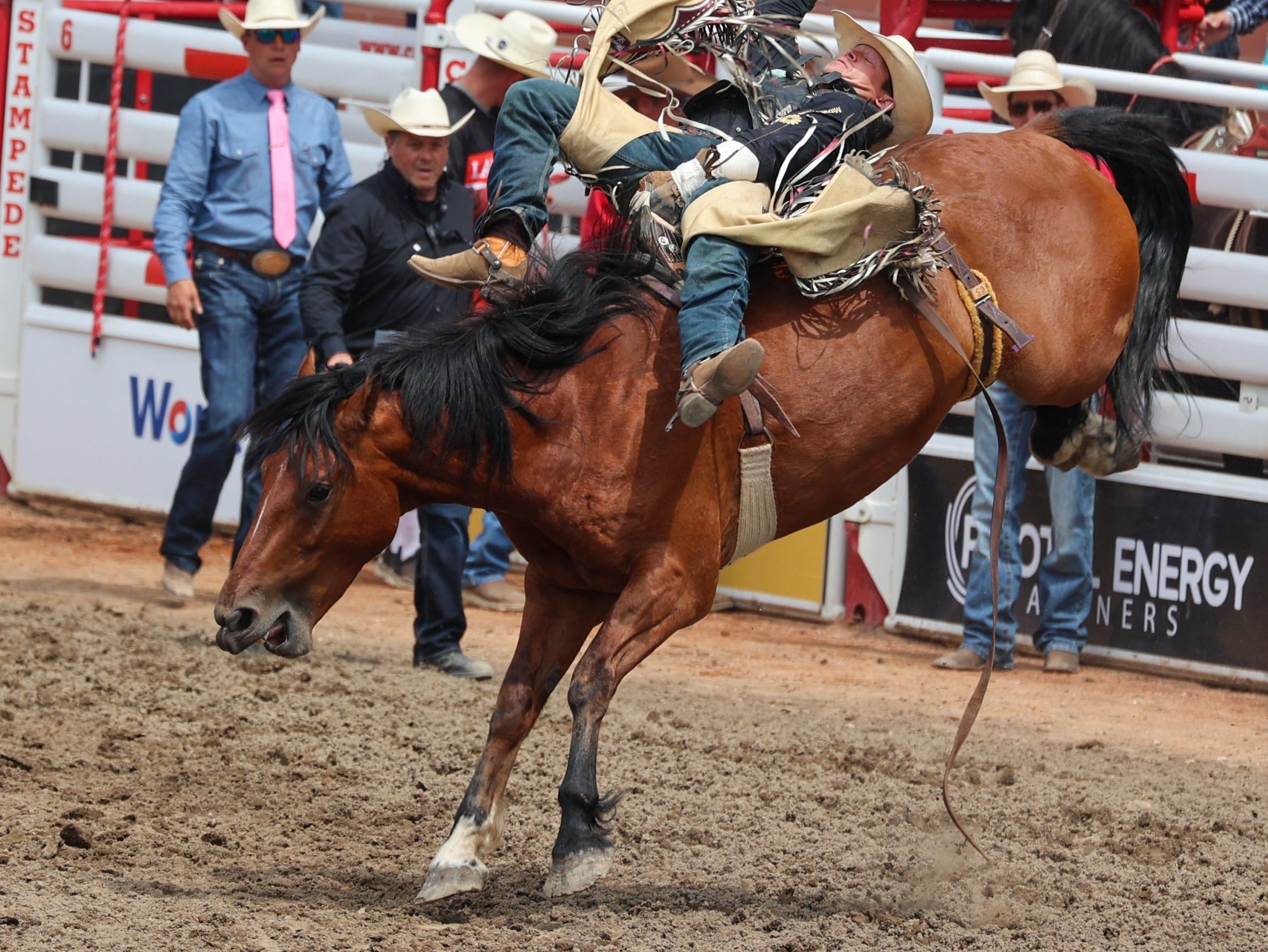 Bareback rider Tanner Aus showing veteran savvy at Calgary Stampede |  Calgary Sun