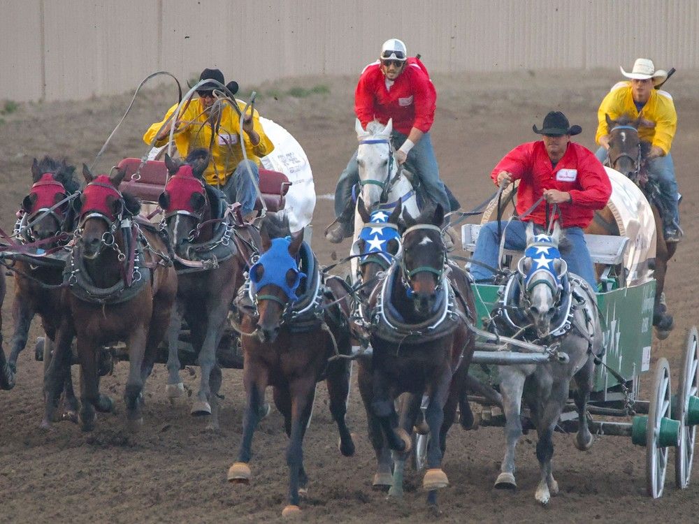 Layne MacGillivray claims top chuckwagon racing prize at Century