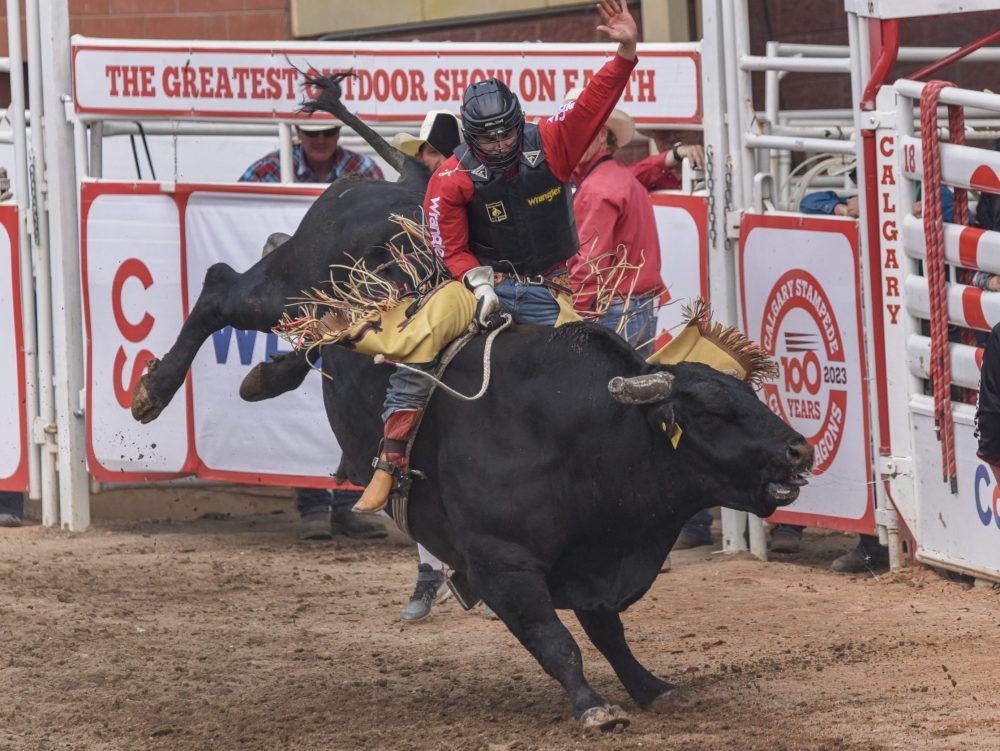 RODEO NOTES: Creek Young knows how to win on Calgary Stampede bulls ...