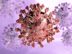 A rendering of the COVID-19 virus.