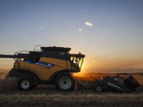 A farmer operates a combine on a wheat crop near Cremona, Alta., Wednesday, Sept. 7, 2022. A new report says more than 40 per cent of farm operators will retire over the next decade, leaving Canada with a shortage.