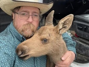 According to Skage, the moose is now being cared for at Rimrock Wildlife Rehabilitation Centre in Dawson Creek, B.C.