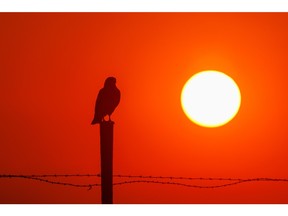 Sunrise for Drew