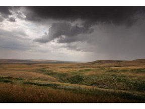 Storm for Drew