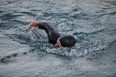 Swimming portion of race