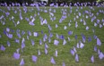 A field of flags planted in Richmond, B.C., each representing an overdose death, on April 14, 2023.