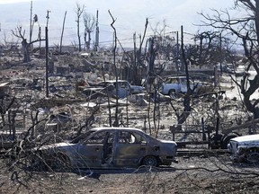 Destroyed homes and cars are shown, Sunday, Aug. 13, 2023, in Lahaina, Hawaii.