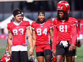 Calgary Stampeders look to get ground game going for CFL playoffs 