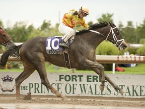 Jockey Justin Stein guides Velocitor to victory in the $400,000 Prince of Wales Stakes on Sept. 12, 2023 at Fort Erie.