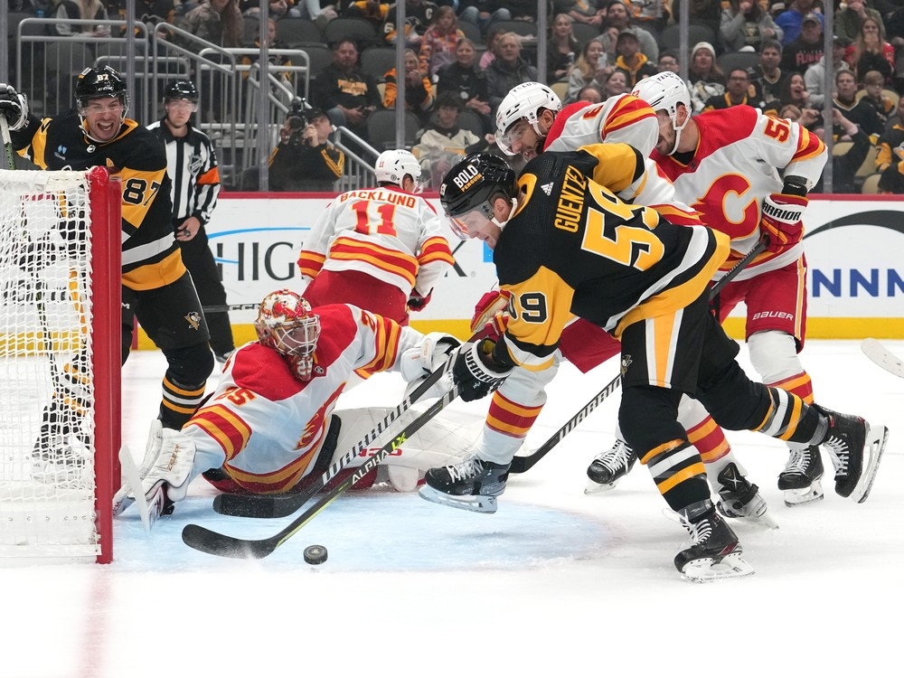 Flames Penguins Hockey, National Sports