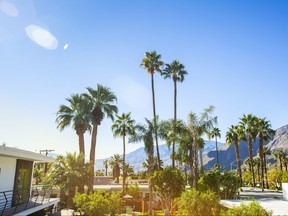 Sunny view from home in Palm Springs, California.
