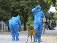 Mexican police investigators work at the scene of slain police officers in El Papayo, Coyuca de Benitez municipality, Guerrero state, Mexico, Monday, Oct. 23, 2023.