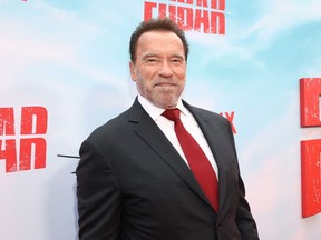 Arnold Schwarzenegger at the Fubar premiere in Los Angeles.