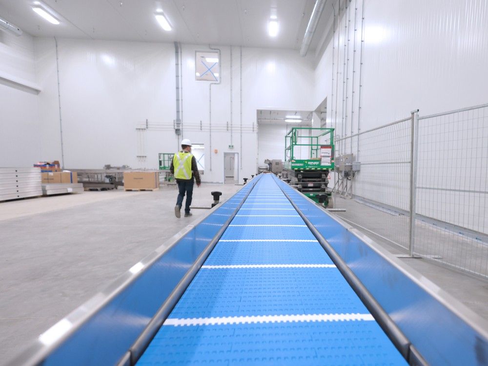 Vertical farm will bring rapid-growing leafy greens to Calgary grocery-store shelves