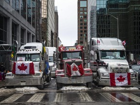 Freedom Convoy protesters are seen in downtown Ottawa.