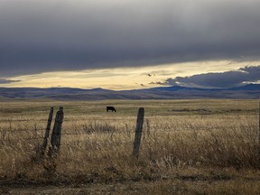 Chinook clouds over a pasture on the edge of the Porcupine Hills west of Claresholm, Ab., on Tuesday, November 7, 2023.