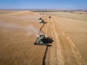 Alberta grain harvest