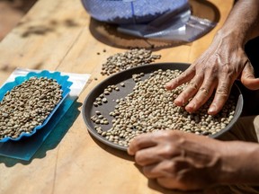 Dried coffee berries in Dak Doa village in Pleiku, Vietnam, on Tuesday, Jan. 3, 2023. Vietnam sees domestic coffee consumption rising 5% to 10% in coming years, from the current 300,000 tons, which includes 170,000 tons used for instant coffee production. Photographer: Maika Elan/Bloomberg