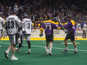 San Diego Seals players celebrate a goal during a 12- 9 victory over the Calgary Roughnecks at Pechanga Arena in San Diego