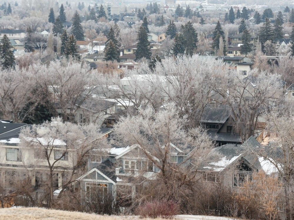 Leong Why the residential property tax system is broken Calgary Sun