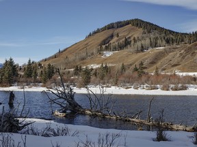 The grassy, south-facing slopes are snow free for the moment in the Red Deer River valley west of Sundre, Ab., on Tuesday, January 30, 2024.