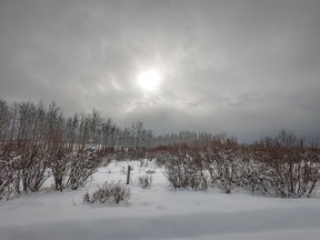 The sun eats away at the fog west of Diamond Valley, Ab., on Tuesday, February 6, 2024.